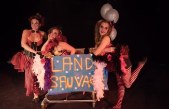 Cirk'n'swing spectacle cirque et danse (2)