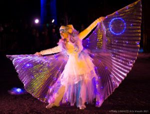 spectacle de lumière LED féerique