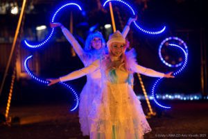spectacle de lumière LED féerique