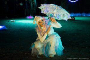 spectacle de lumière LED féerique