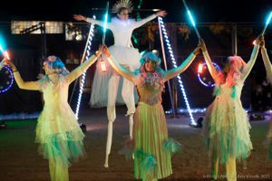 spectacle de lumière LED féerique