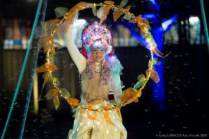 spectacle de lumière LED féerique