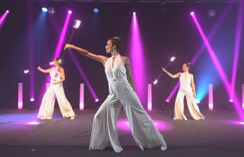 Compagnie_Luminescence_Symphonie_Verneuil (14)