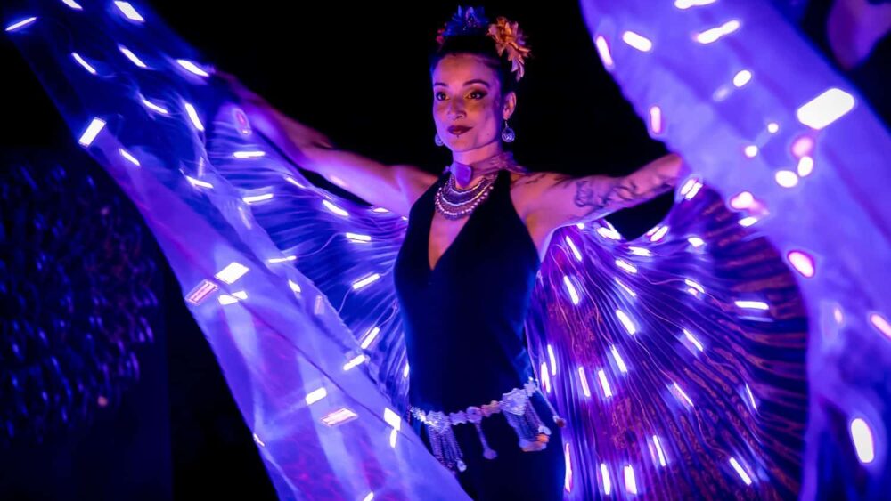 Ardensia-Lillebonne-spectacle-feu-et-LED-6