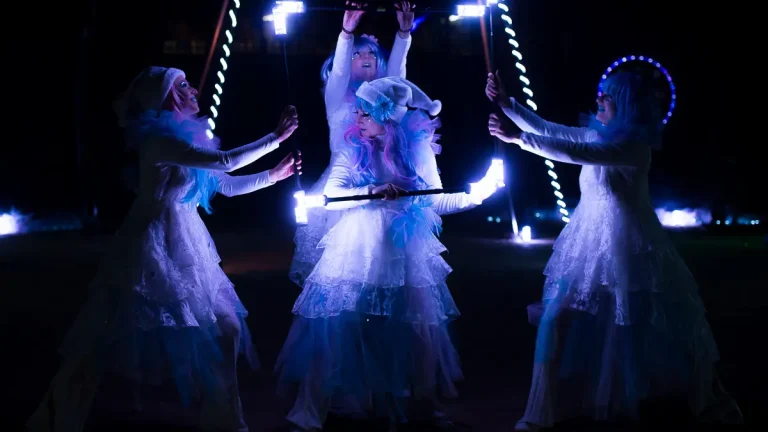 Féerie spectacle de lumière (15)