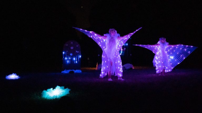 Féerie spectacle LED mariage (1)
