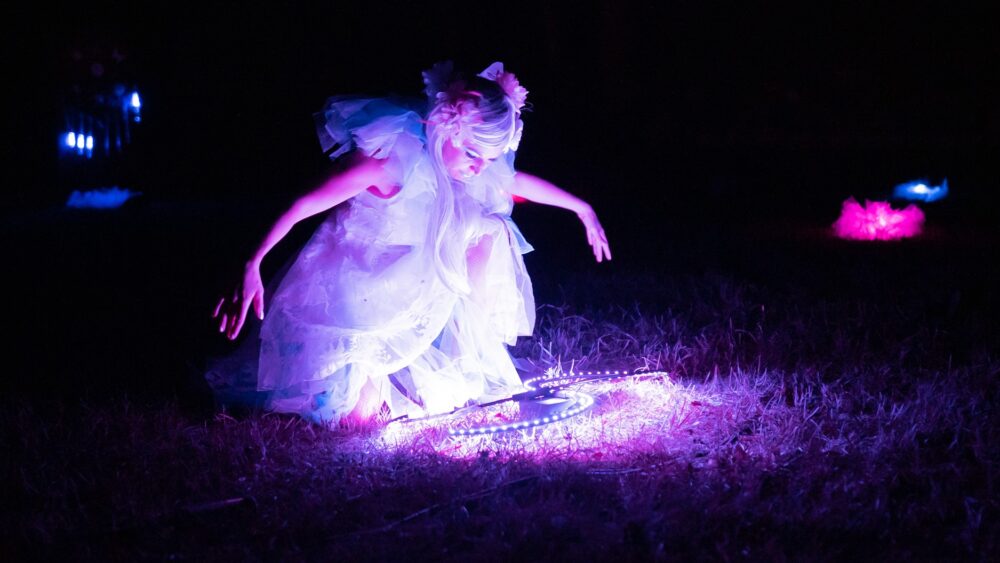 Féerie spectacle LED mariage (2)