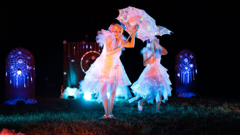 Féerie spectacle LED mariage (3)
