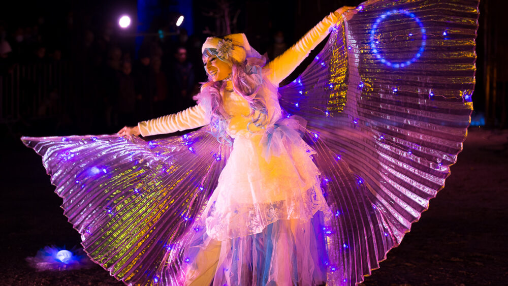 Féerie spectacle de lumière (10)