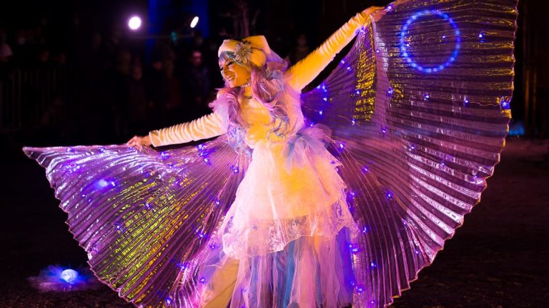 Féerie spectacle de lumière (10)