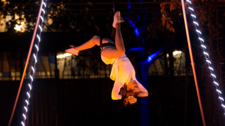 Féerie spectacle de lumière (14)