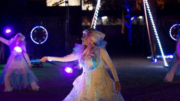 Féerie spectacle de lumière (16)