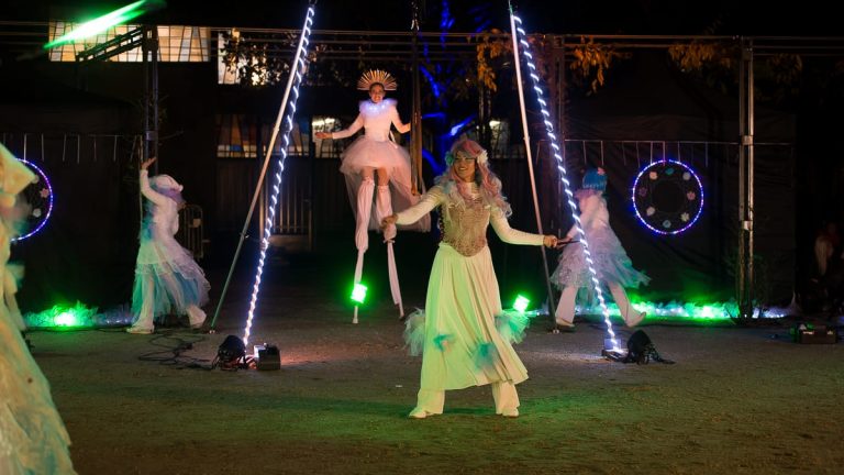 Féerie spectacle de lumière (19)