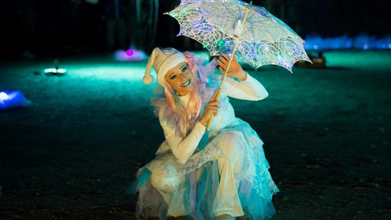 Féerie spectacle de lumière (2)