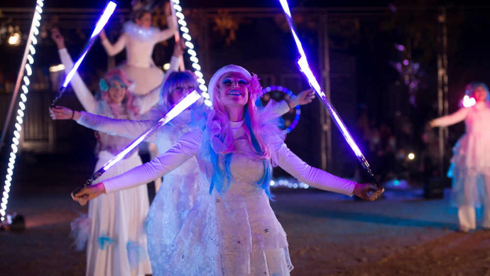 Féerie spectacle de lumière (20)