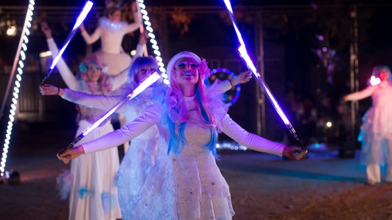 Féerie spectacle de lumière (20)
