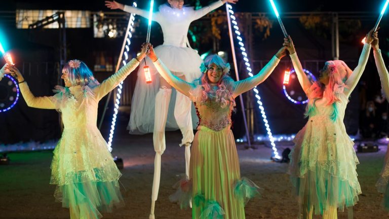 Féerie spectacle de lumière (21)