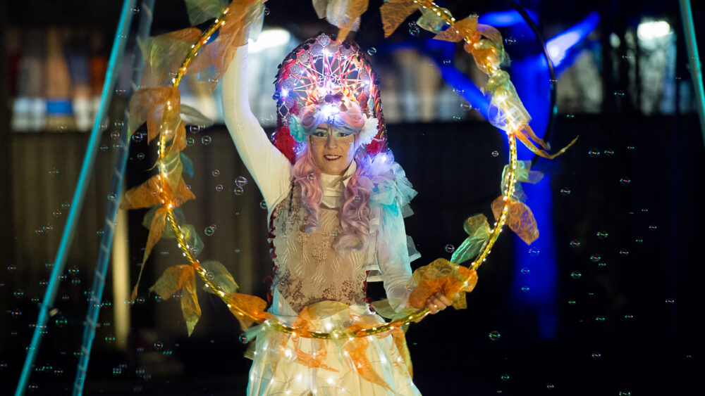 Féerie spectacle de lumière (3)