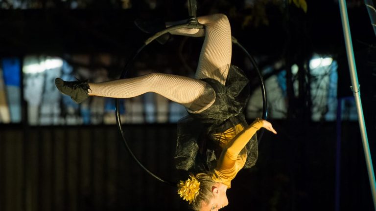 Féerie spectacle de lumière (4)