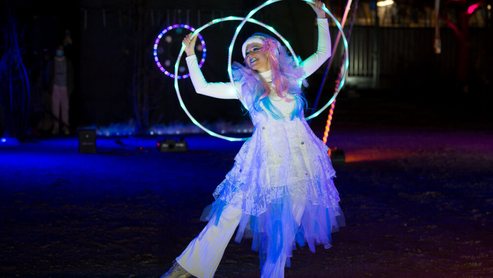 Féerie spectacle de lumière (9)