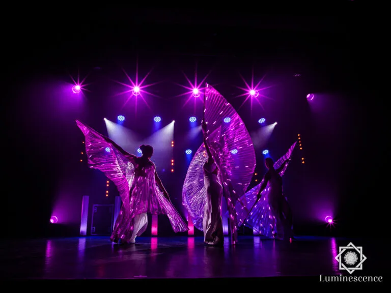 Artiste avec ailes lumineuses, spectacle Symphonie - Compagnie Luminescence, photo 4