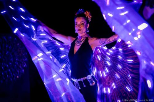 Ardensia-Lillebonne-spectacle-feu-et-LED-6