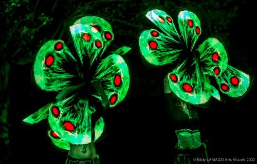 Cie Luminescence shooting part1 © Eddy Lamazzi Arts Visuels 2022-0486