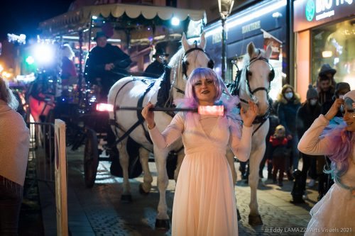 Feerie-deambulation-LED-10