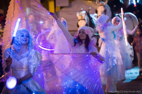 Feerie-deambulation-LED-8