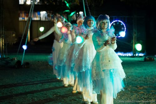 Féerie spectacle de lumière (1)