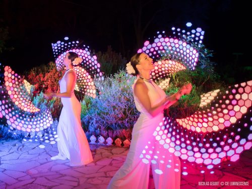 Luminescence-Symphonie-1144559