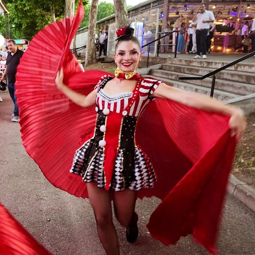 cirknswing-point-S-4