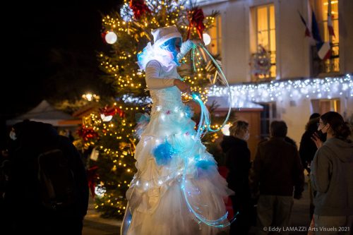 feerie-deambulation-de-lumiere-2
